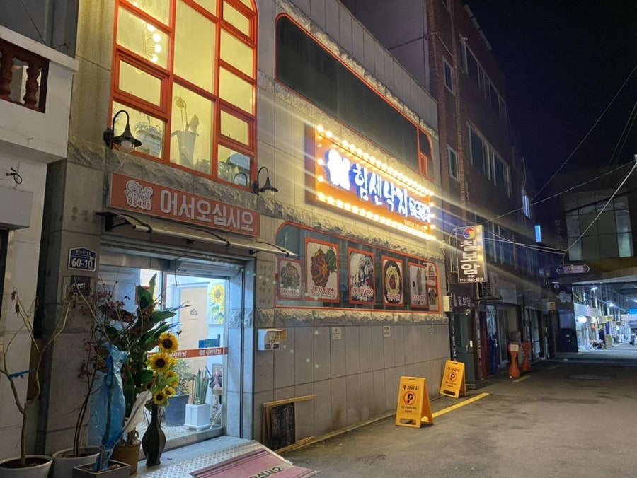 힘센낙지 사진 2