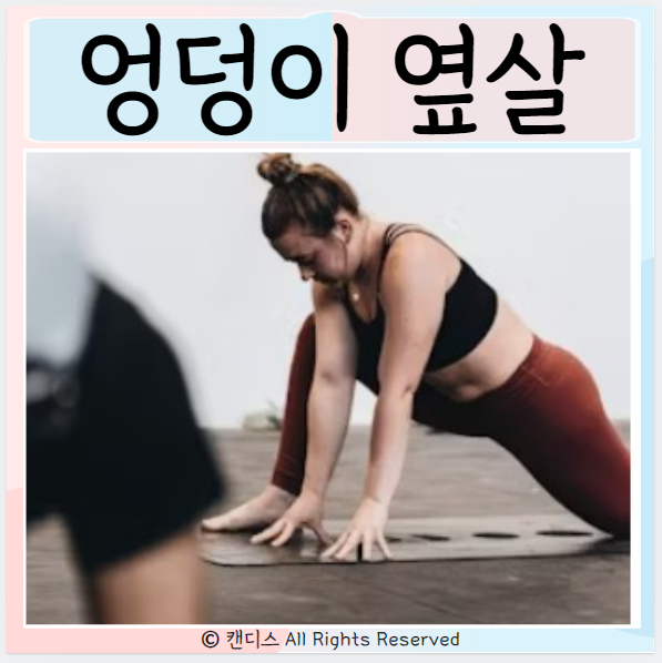  엉덩이 옆살 원인 줄이는방법 기초대사량