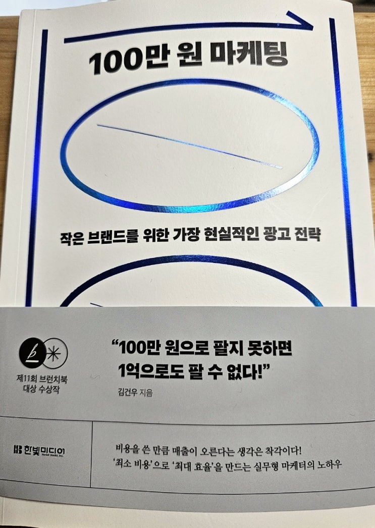  100만 원 마케팅 - 김건우