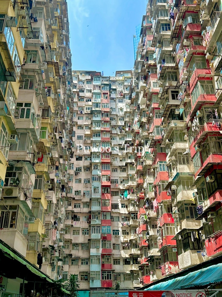  홍콩여행 코스 가볼만한곳 익청빌딩 가는 법 및 응커피