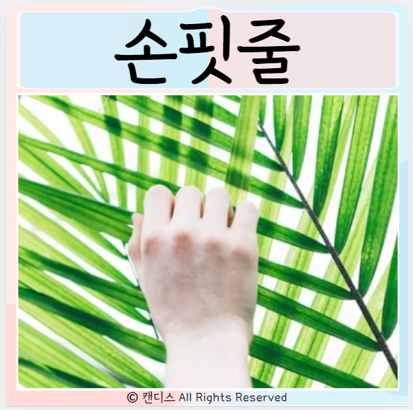  손핏줄 원인 손등정맥류 모세혈관 확장증