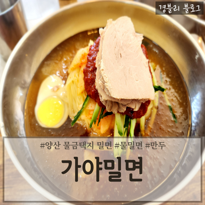 양산 물금 밀면 맛집 가성비 좋은 밀면맛집 추천 '가야밀면'