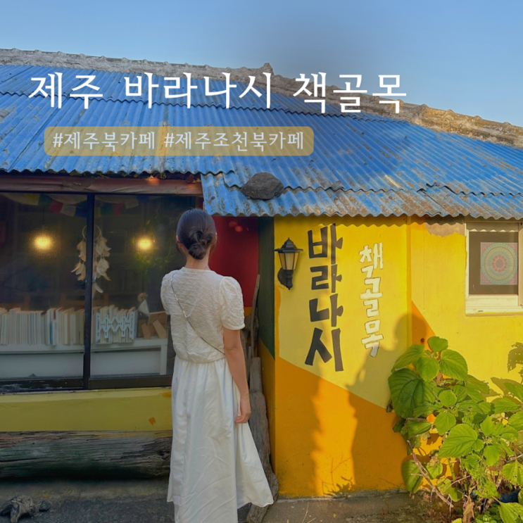  제주 공항근처 북카페 바라나시 책골목 | 눈물 펑펑쏟은 이유