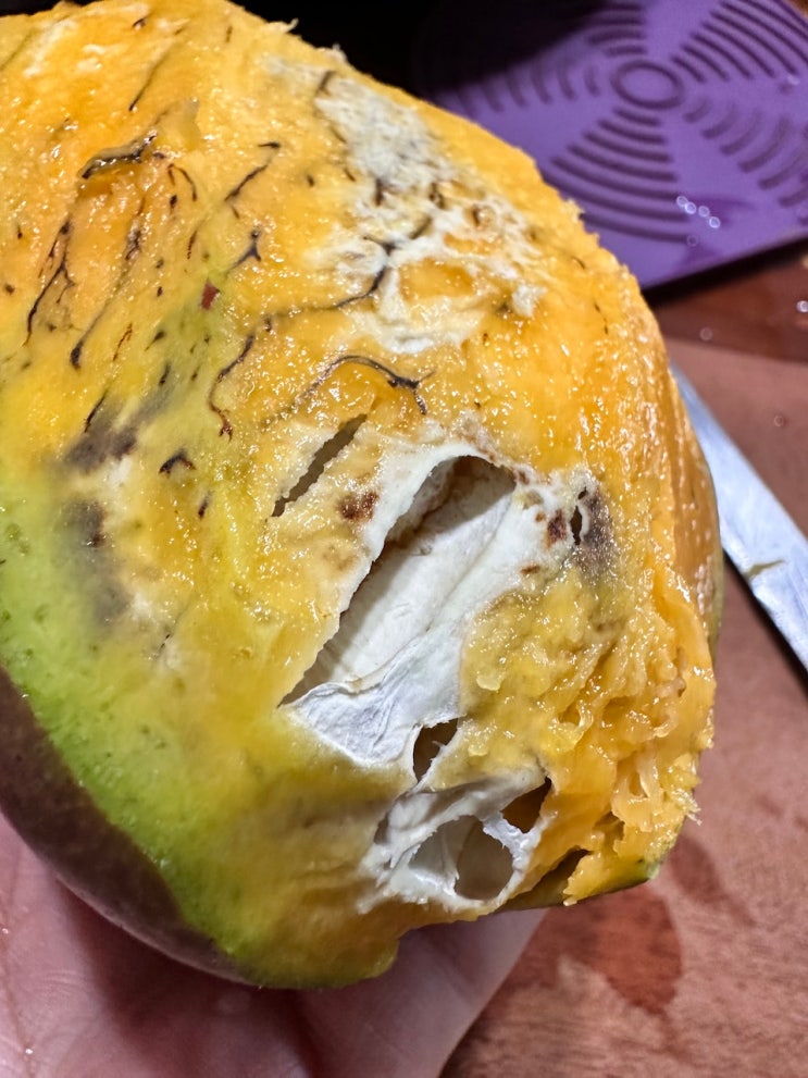  못난이 과일는 업체가 보증해도 믿지 말것 [못난이 애플망고]에 대이다..