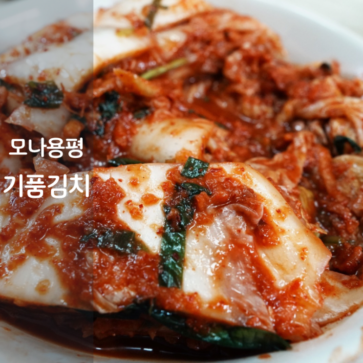  모나용평 고랭지 배추 맛있는 여름 배추김치