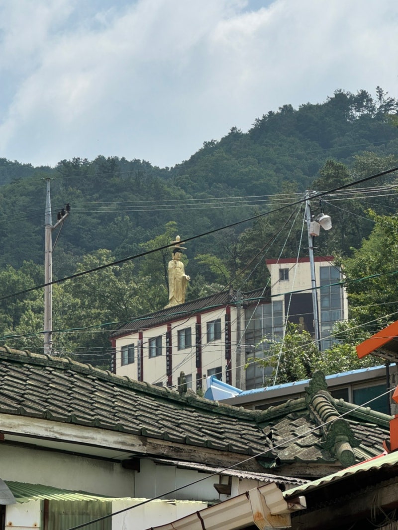 2024ww28 : 네이버 블로그, image size:800x1067