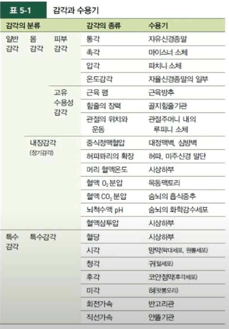  [부록] 중추신경계와 말초신경계(feat. 수용기)
