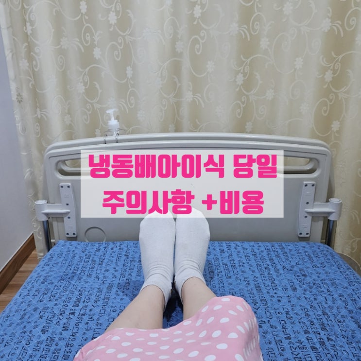  나주 난임 냉동배아이식 당일 / 주의사항 +비용
