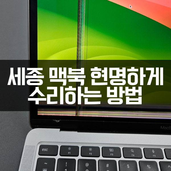  세종 맥북 수리? 이것 모르면 수십만원 날립니다