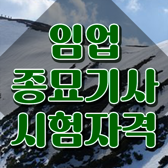  임업종묘기사 자격요건 인강으로 4달만에 성공한 팁