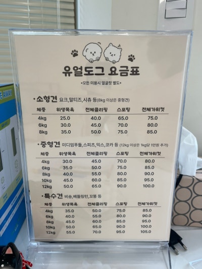 사진 5