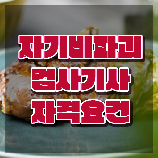  자기비파괴검사기사 시험응시조건 온라인 수업으로 15주만에 성공한 후기