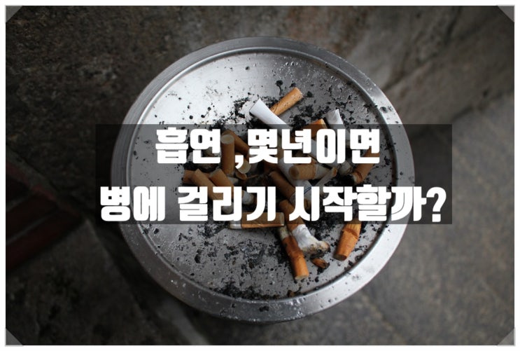  "담배를 피우면 몇 년 후에 건강에 문제가 생길까요? "