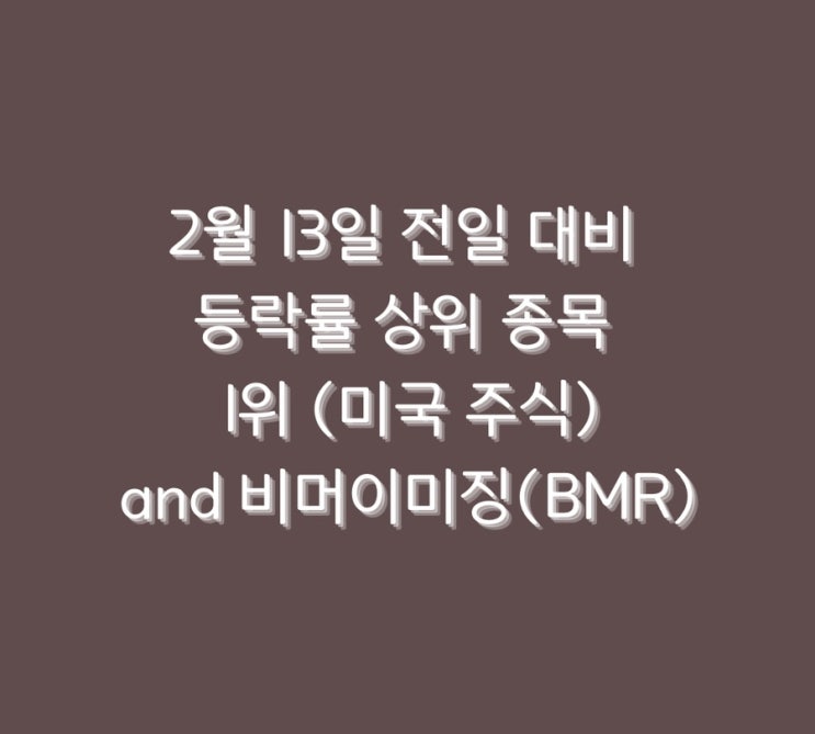  2월 13일 전일 대비 등락률 상위 종목 1위 (미국 주식) and 비머이미징(BMR)