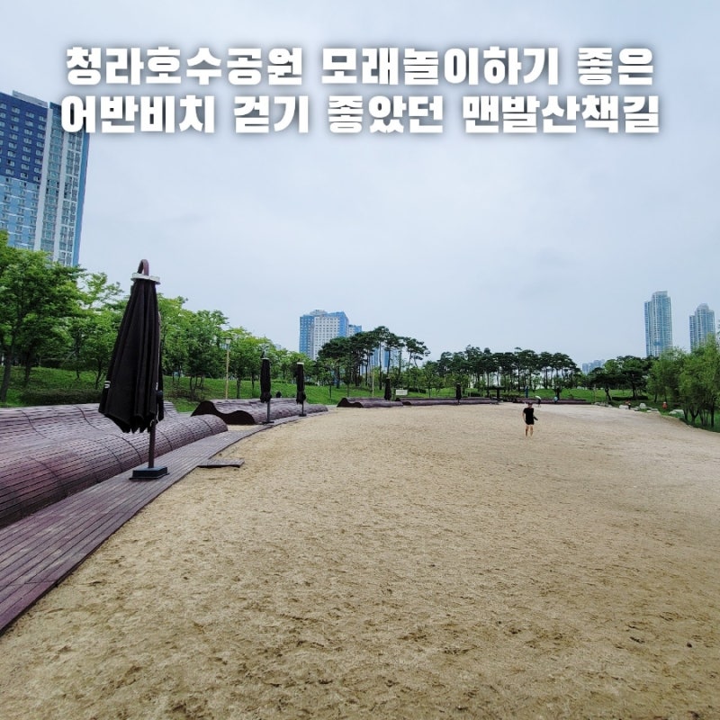 사진 3