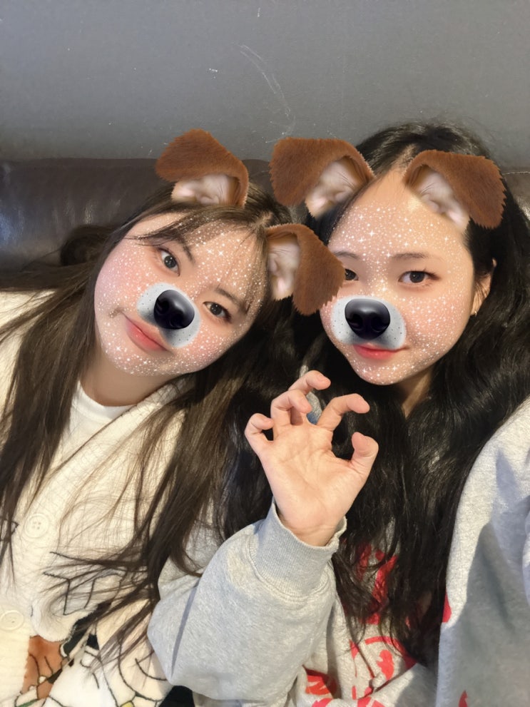  강아지동반 1박 2일 강릉여행