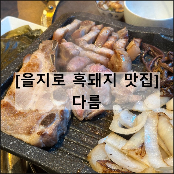  다름 | 을지로 맛집 흑돼지 고기집 을지로3가 인현시장