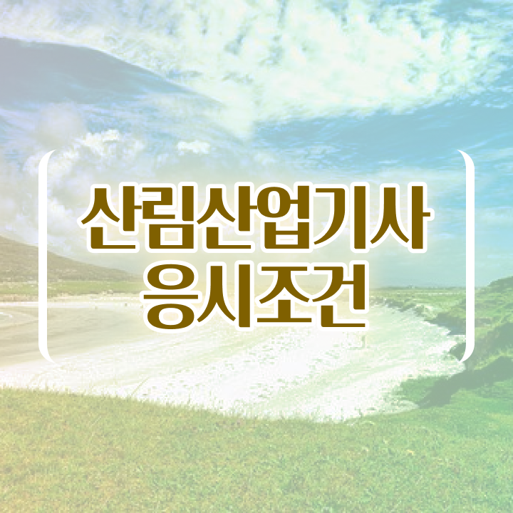  산림산업기사취업 산림산업기사 응시조건 학점은행제로 편하게 끝낸 후기