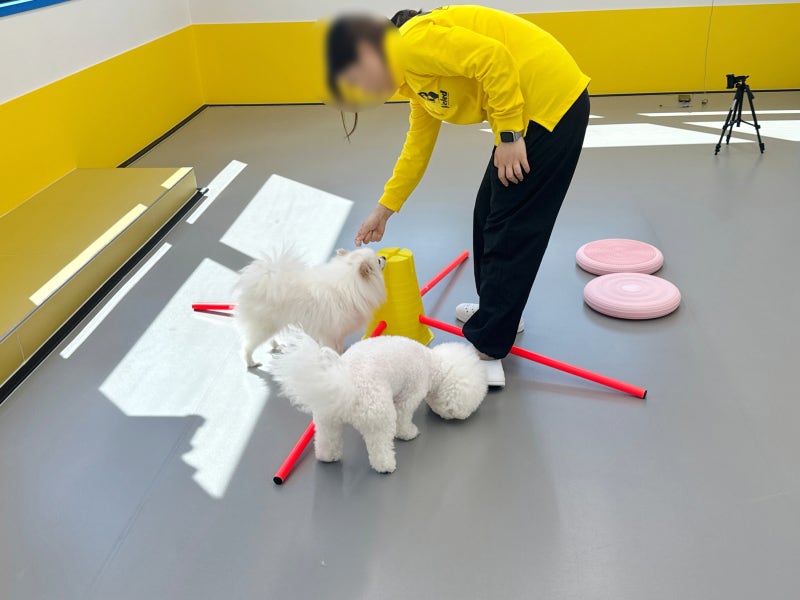 사진 8