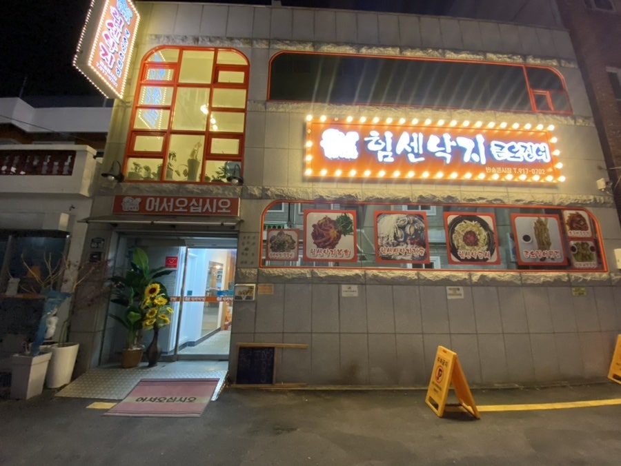 힘센낙지 사진 3