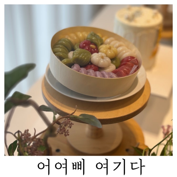  [부산 돌잔치 돌떡]기장대보름 돌잔치 연계업체 어여삐 여기다 솔직후기