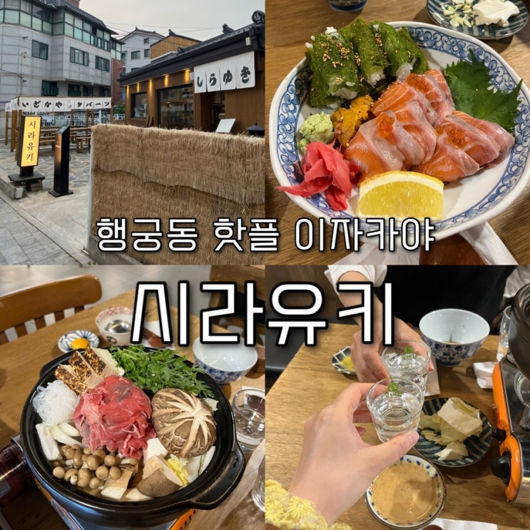  내돈내산 | 길슐랭이 인정한 감태마끼와 연어사시미가 역대급 맛있었던 수원 행리단길맛집 “시라유키”