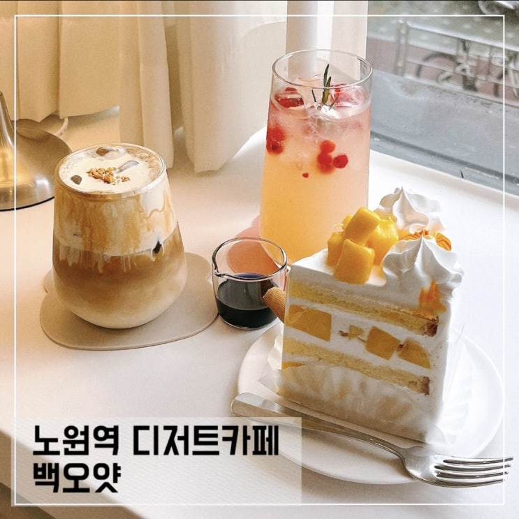  노원역 감성 카페 백오얏; 공부하기 좋은 노원 디저트 카페 추천