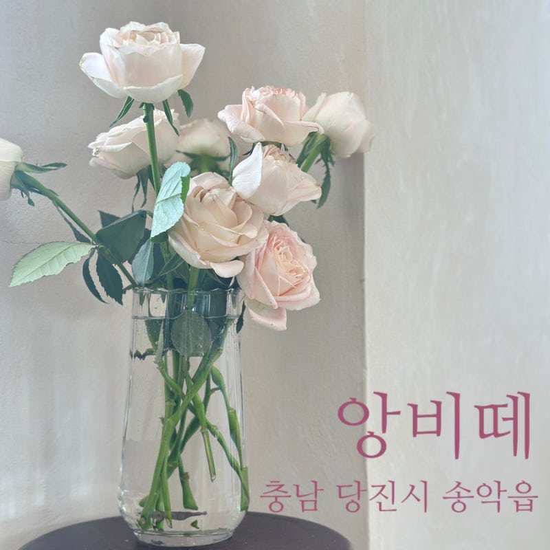 사진 3