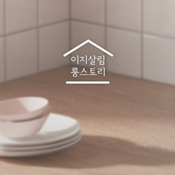  리빙 블로그 이지살림 룽스토리 소개글