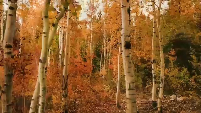  성동구 사근동 세면대 막힘 과탄산 똑소리 나는 팁