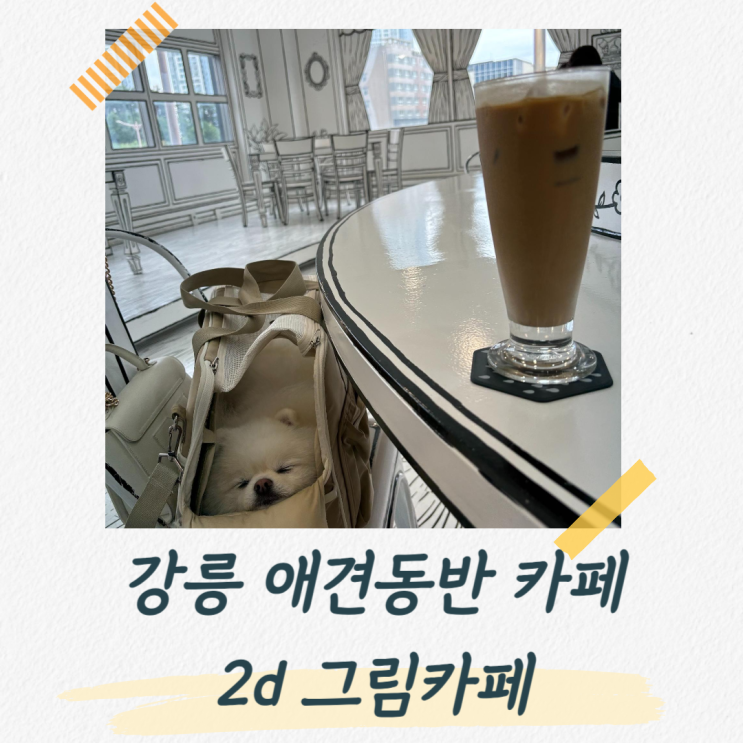  강릉 애견동반 카페, 이색적인 분위기의 2d 그림카페