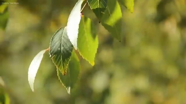  오사카 가볼만한곳 , 현지 전문가 가 정리해 봤어요 (무료 서비스)