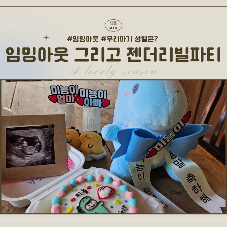  [임신-5] 임밍아웃시기 아기성별 알 수 있는 시기 아기성별공개 젠더리빌 파티 이벤트 케이크