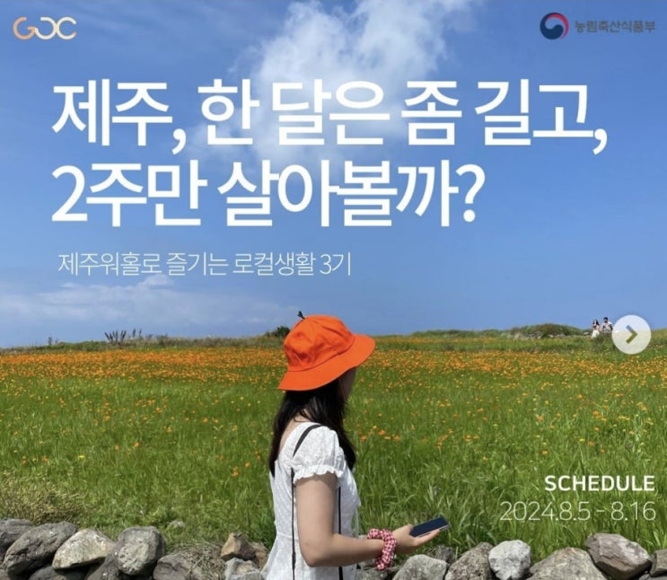  제주, 한 달은 좀 길고, 2주만 살아볼까?-제주 워킹홀리데이