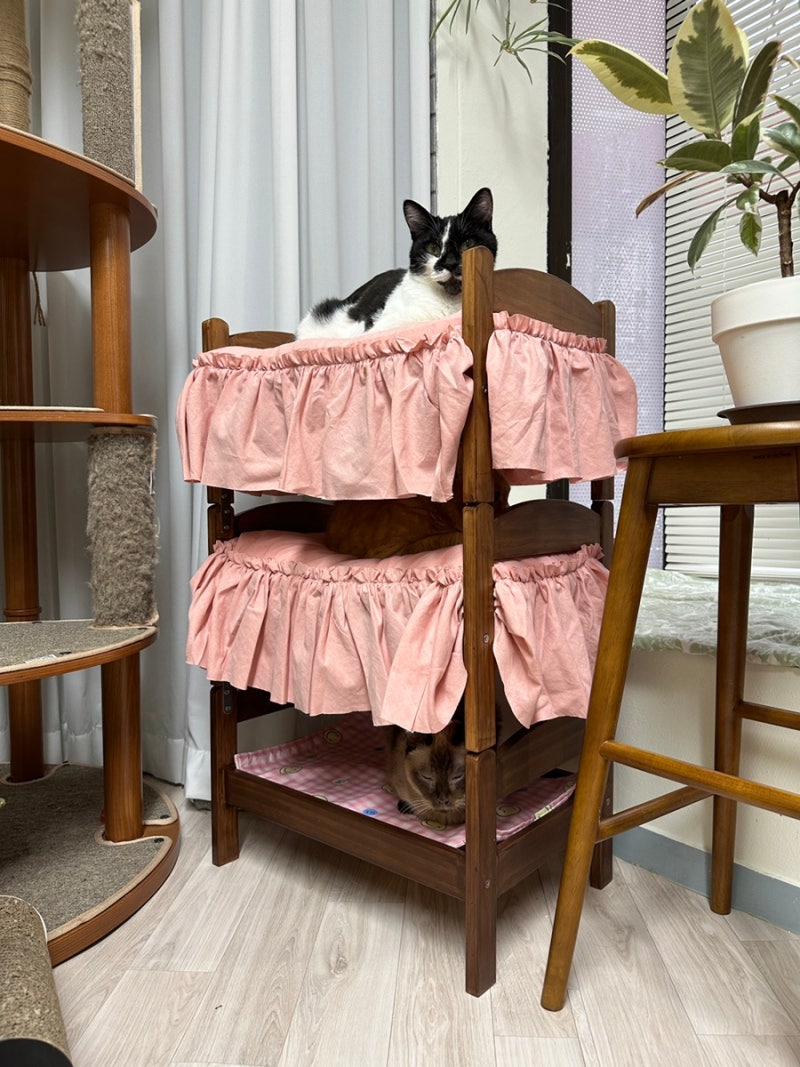 이케아 인형 침대 둑티그로 반려동물 2층/3층 침대 만들기