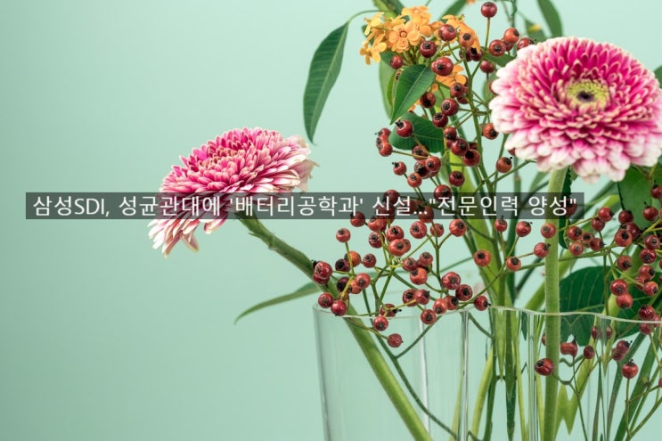 삼성SDI, 성균관대에 '배터리공학과' <b>신설</b>…"전문인력 양성"