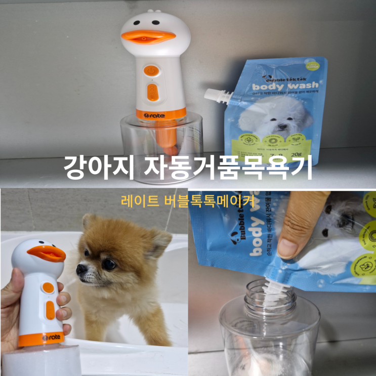  강아지 노령견 목욕 레이트 자동 거품 목욕기로 빠르게 목욕하자