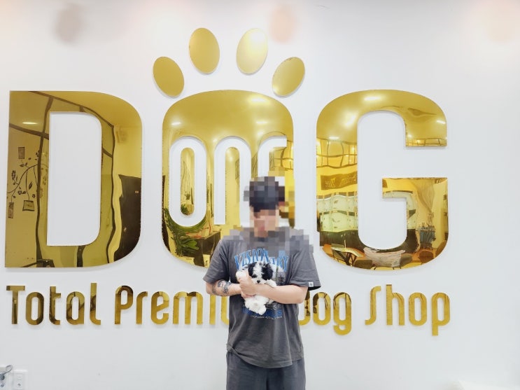  청주에서 오신 고객님과의 특별한 만남,파티말티푸 분양 스토리/강아지분양 청주강아지분양 청주애견샵 청주시애견샵