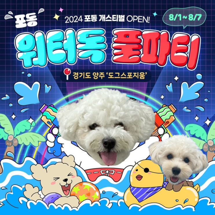  포동 서포터즈 7기 2024년 포동 개스티벌 오픈 워터독 풀파티