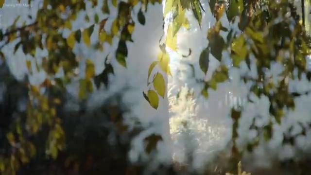  토목산업기사필기 토목산업기사 시험응시조건 독학으로 15주만에 성공한 팁