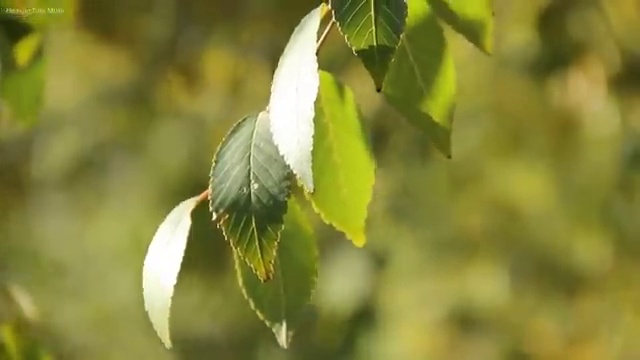  오사카 가볼만한곳 , 현지 전문가 가 정리해 봤어요 (무료 서비스)
