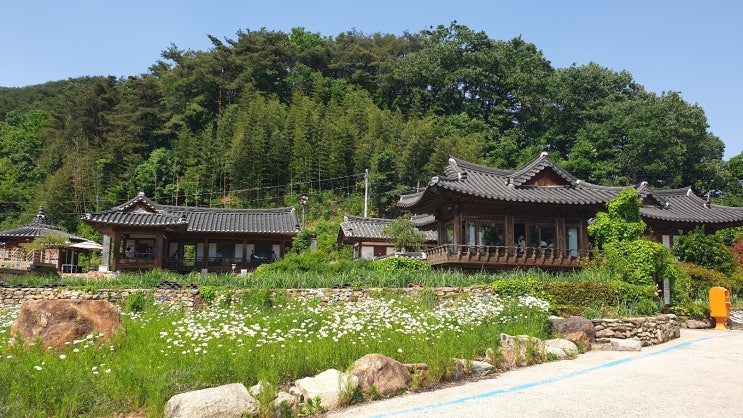  곡성 두가헌에서의 특별한 휴식~~ 전통 한옥과 자연 속 커피 한 잔의 여유
