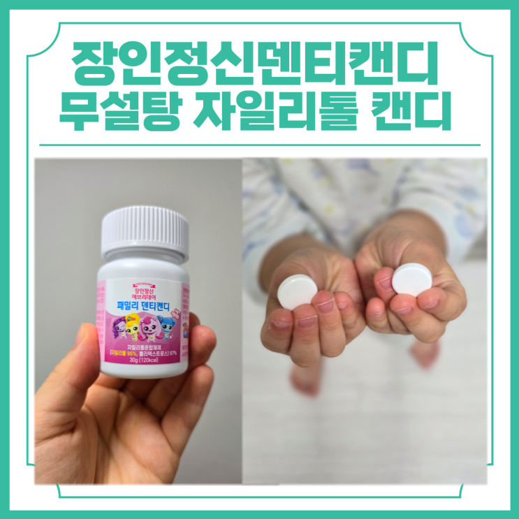  장인정신덴티캔디 내돈내산 무설탕 자일리톨 캔디
