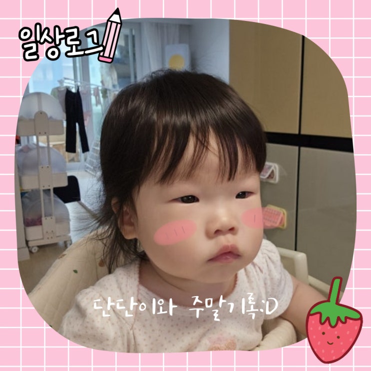  단단이와 주말기록 :D