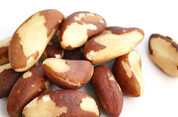  브라질너트(Brazil nut) 효능 살펴보기