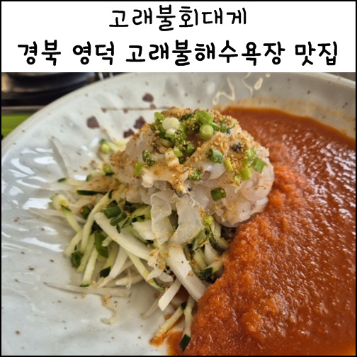  경북 영덕 고래불해수욕장 맛집 고래불회대게 물회 회덮밥 밥집