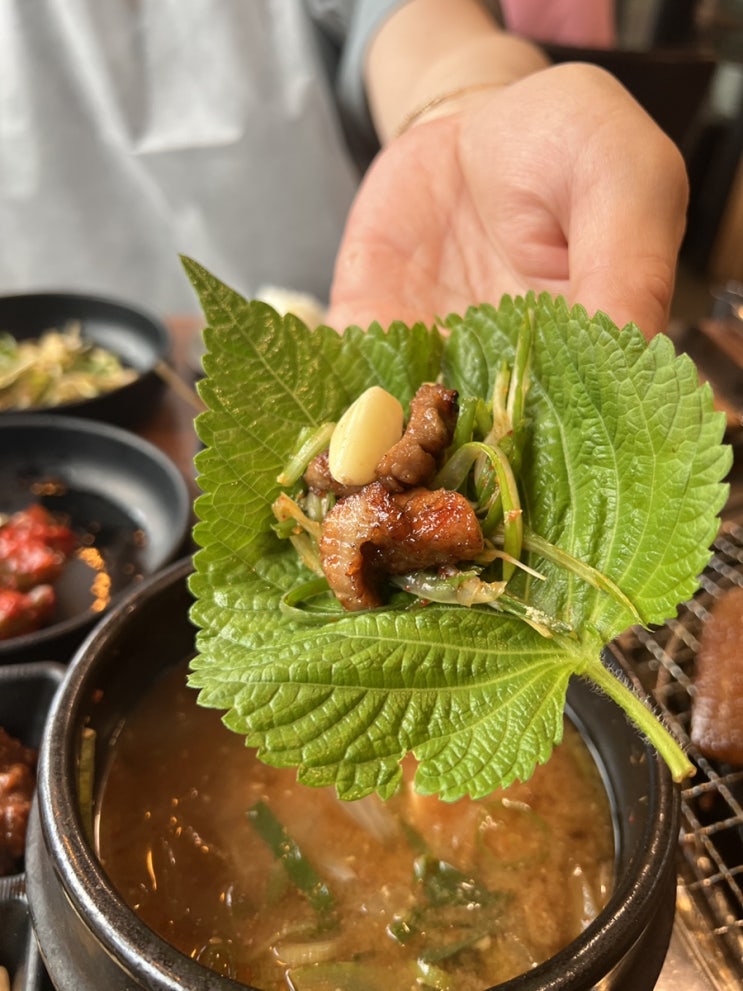  서가네숯불갈비 속초 교동고기집 돼지갈비 맛집