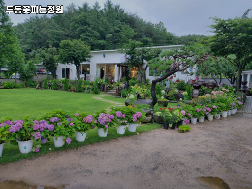 두동꽃피는정원 사진 1
