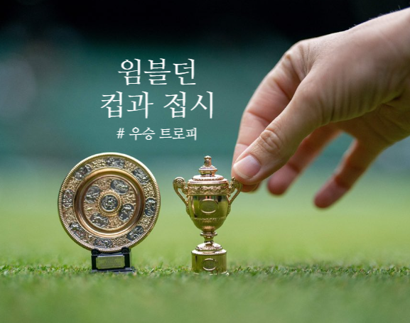 <b>윔블던 우승</b> 상금 트로피 남여가 다른 이유 로즈워터디쉬