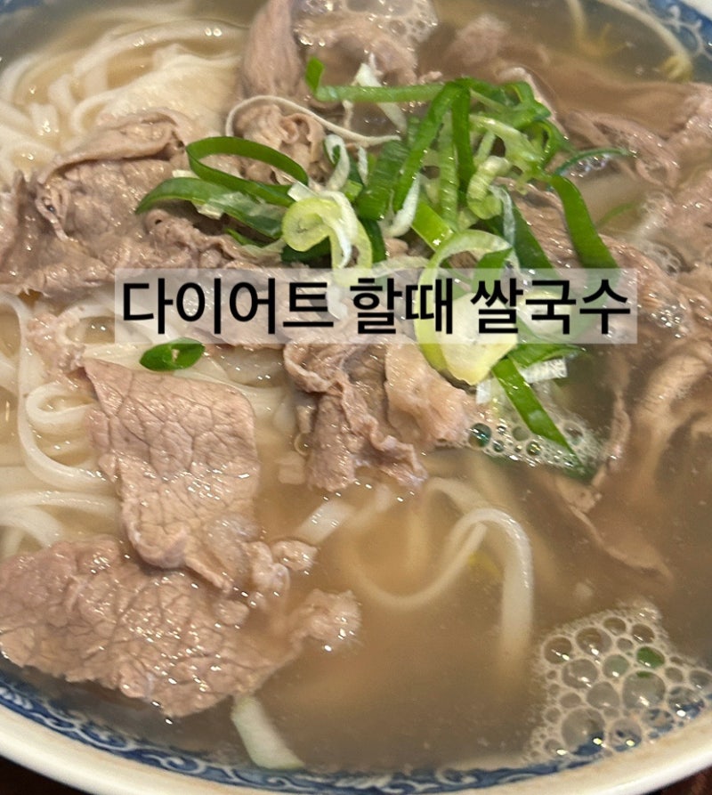 다이어트할때 쌀국수의 득과 실